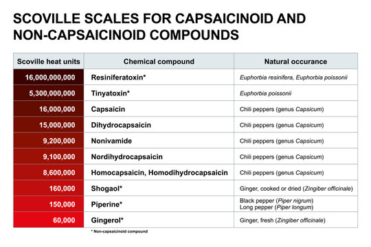 Scoville scales for capsaicinoid and non-capsaicinoid compounds. Comparison of pungency of other chemical compounds than from chili peppers, such as euphorbia plants, ginger, or black and long pepper.