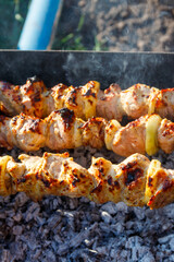 Grilled kebab cooking on metal skewer. Roasted meat cooked at barbecue.Traditional eastern dish, shish kebab. Grill on charcoal and flame, picnic, street food