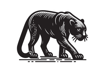 Beautiful black panther. vintage engraving, vector monochrome illustration. woodcut