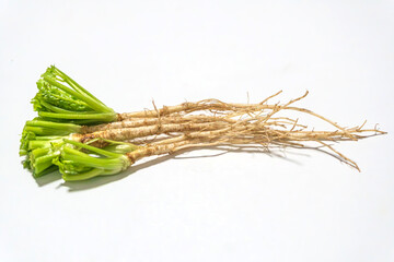 Close up of fresh organic Coriander roots isolated on white background.