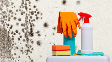 Accessories for cleaning from stains of poisonous bacteria mold and fungus on the background of a...
