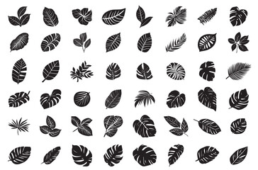 Tropical monstera ficus plant leaves icon illustration set, black on white background