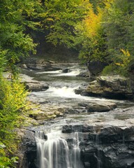 Blackwater River in West Virginia cascades through a gorge in the Appalachian Mountains with seasonal fall color in abundance.