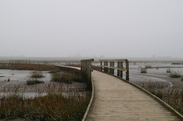 Fototapeta na wymiar Wooden bridge in the sea - A foggy day at the North Sea