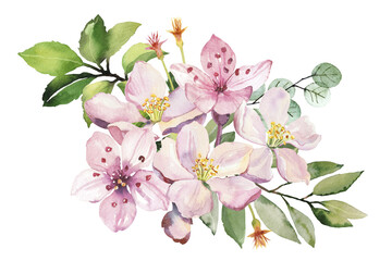 Fototapeta premium Watercolor spring sakura pink flowers and leaves branch. Hand painted realistic botanical illustration isolated on white background for cards, invitations and posters