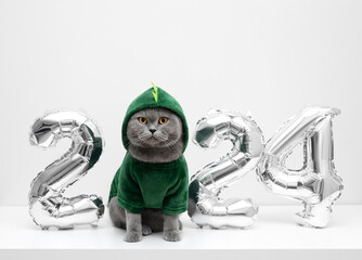 Christmas cat in dragon costume with silver balloons numbers on white background with copy space....