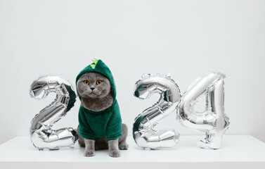 British cat in a green dragon costume on white background. Cat with Christmas decorations. Chinese New Year 2024 symbol. Copy space.