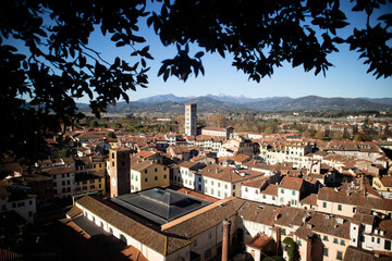 Top view of the city of Lucca Tuscany Italy