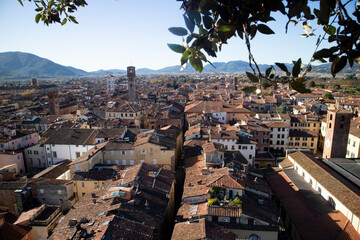 Top view of the city of Lucca Tuscany Italy