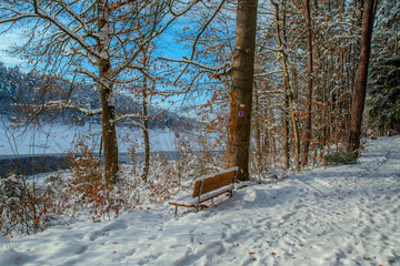 A little bench in a cold snowy forest.