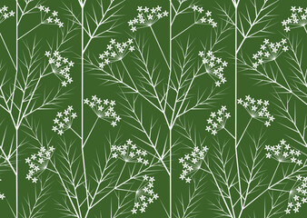 Herb seamless pattern. White inflorescences and stems of Apiaceae herb on green  background
 - obrazy, fototapety, plakaty