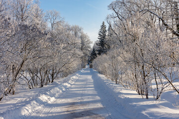 Winter in Catherine park, Tsarskoe Selo (Pushkin), Saint Petersburg, Russia
