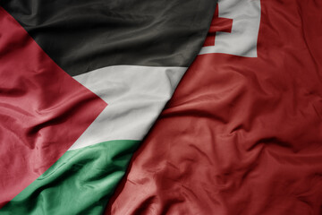 big waving national colorful flag of Tonga and national flag of palestine .