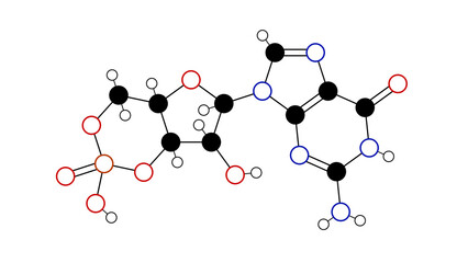 cyclic guanosine monophosphate molecule, structural chemical formula, ball-and-stick model, isolated image cyclic nucleotide