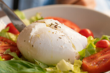 salad with cheese and tomatoes