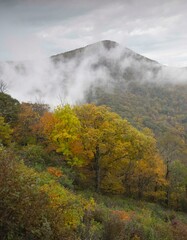 Autumn color in the Blue Ridge Mountains in Shenandoah National Park with low clouds shrouding the mountains.