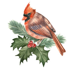 Cardinal bird and Christmas tree watercolor greeting card.Digital illustration to create decor.