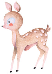 Cartoon deer.Hand drow watercolor.Cute animals.Suitable for children.