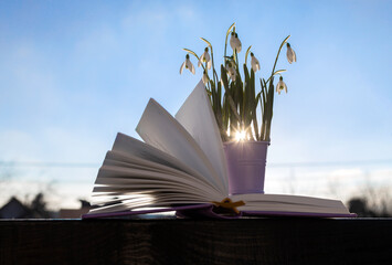 early blooming spring delicate snowdrop flowers and an open book in the backlight of the sun...