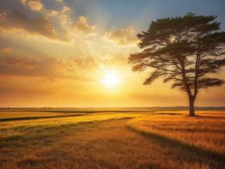 Stunning sunset casting its golden glow over a vast and picturesque field, breathtaking sunset illuminating the expansive and serene countryside