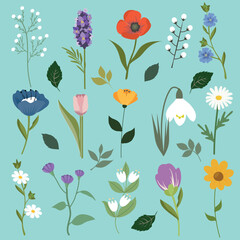 Set of floral elements. Cut garden and field blooms, blossomed spring summer plants arrangements. Nature decoration. Flat graphic vector illustration isolated