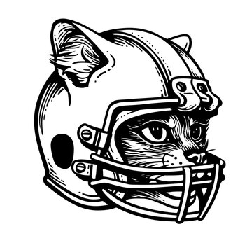 Portrait of Cat wearing rugby helmet