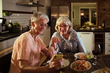 Senior lesbian couple is having dinner at home using smartphone