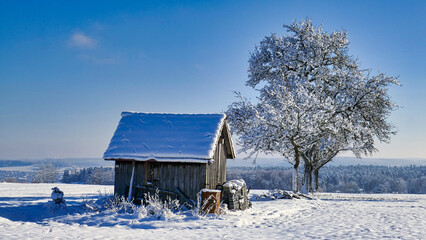 Herrliche Winterlandschaft mit Hütte und Baum sowie Blick auf Weltenschwann bei Calw