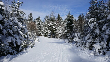 Wanderweg durch verschneiten Winterwald im Nordschwarzwald