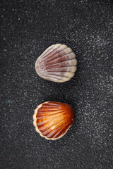 chocolate candy seashells sweet dessert appetizer meal food snack on the table copy space food background rustic top view