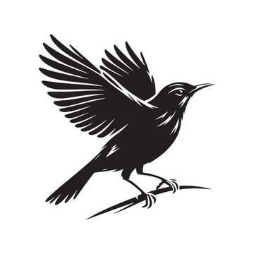 recommend clip art: Bird Silhouette: Diverse and Elegant Renditions of Winged Forms, Ready to Elevate Your Graphic Designs Black Vector Birds Silhouette
                    