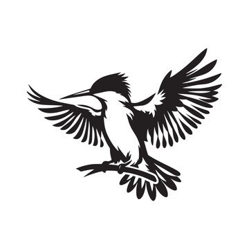 Bird Silhouette: Diverse and Elegant Avian Forms, Ideal for Adding a Natural Touch to Your Designs Black Vector Birds Silhouette
