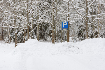 bus parking near a forest in winter