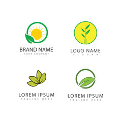 Leaf logo vector template element symbol design