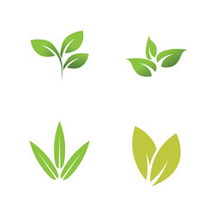Leaf logo vector template element symbol design