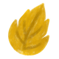 leaf, autumn leaves, summer