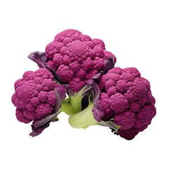 Purple cauliflower on transparent background