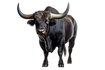 Wandcirkels aluminium Strongest dark brown bull with muscles and long horns portrait looking at camera isolated on clear png background, Animals Fighter concept © TANATPON