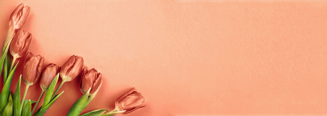 Peach Fuzz bouquet of flowers tulips background on background. banner