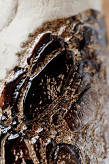 Mixed white, black and gold paint on the stone.