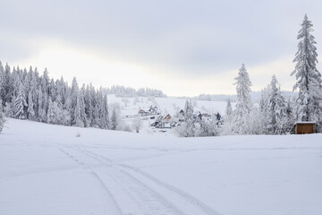Fototapeta na wymiar Forest in winter, heavy snow.