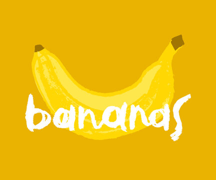 Banana isolated drawing in vector for logo design creation, bananas food label, juice or cosmetics packaging, banner design. Color banana vector icon. Tropical fruit symbol.