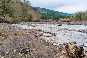 Carbon River Landscape 8