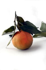 delicious,sweet and juicy oranges close up