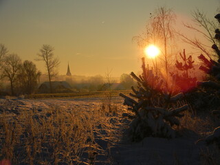 morning near the village