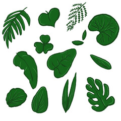 set of green leaves collection