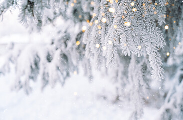 Icy snow-covered Christmas tree branches with burning garland lights.