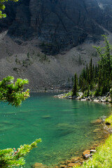 A look at the beauty of nature - Green beauty 