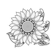 Sunflower handrawing vector design black and white