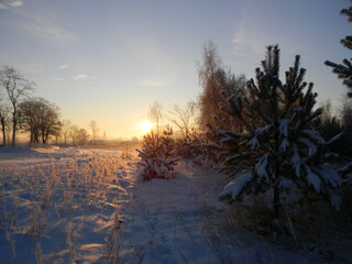 morning near the village of Raszowa4